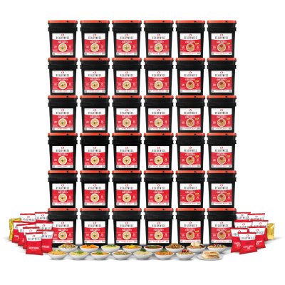 Readywise | Gefriergetrocknete Lebensmittel | Food Ration | 245 600g