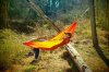 ENO Hängematte Sub6 Orange | Hängematte
