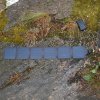 Aqiila Sunbird P21 Faltbares Solarmodul | 20W
