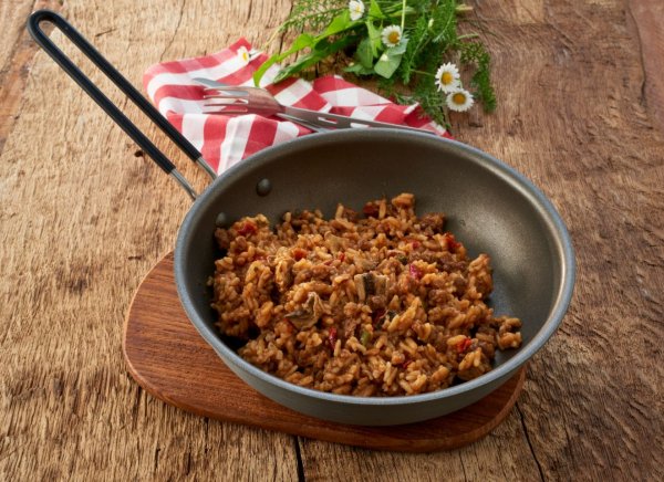 Trek'n Eat | Beef Stroganoff mit Reis | Gefriergetrocknete Lebensmittel | 160g