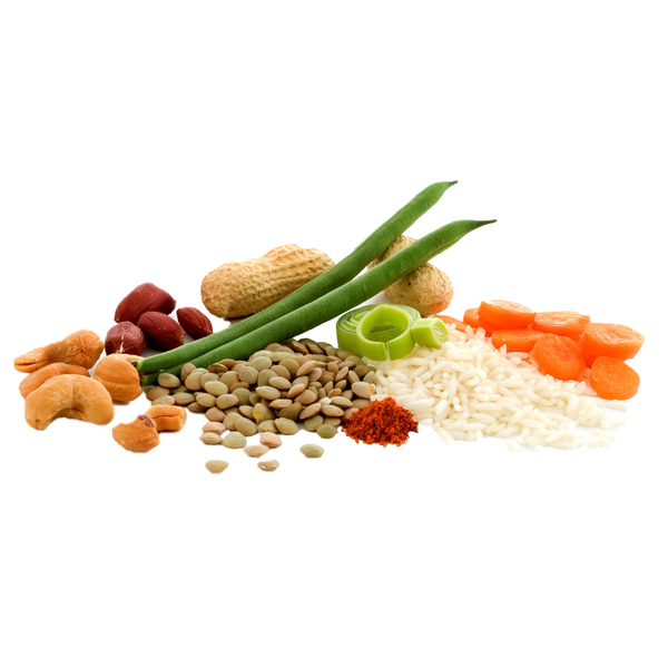 Adventure Food | Cashew Nasi | Gefriergetrocknete Lebensmittel | 140g