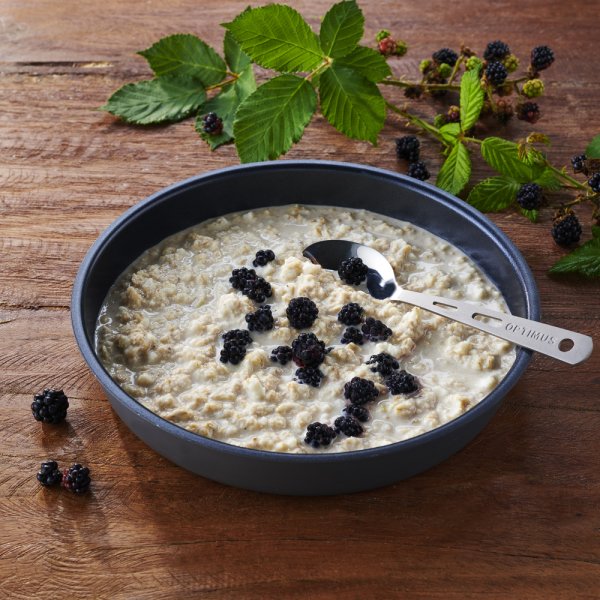 Katadyn Emergency Food | Gefriergetrocknete Lebensmittel | Vegetarisch | Mahlzeitenpaket | 3800g