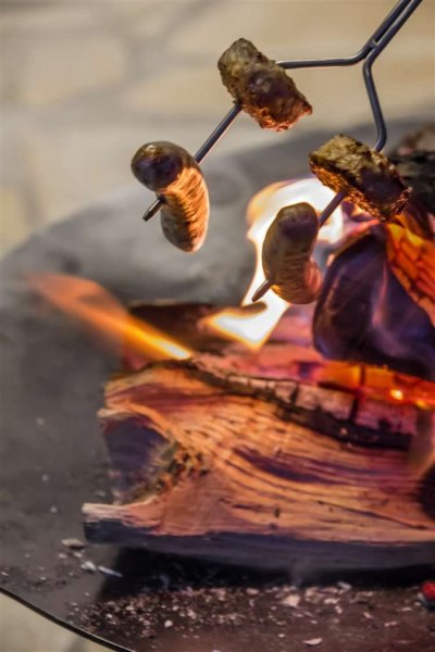 Petromax Campfire Skewer